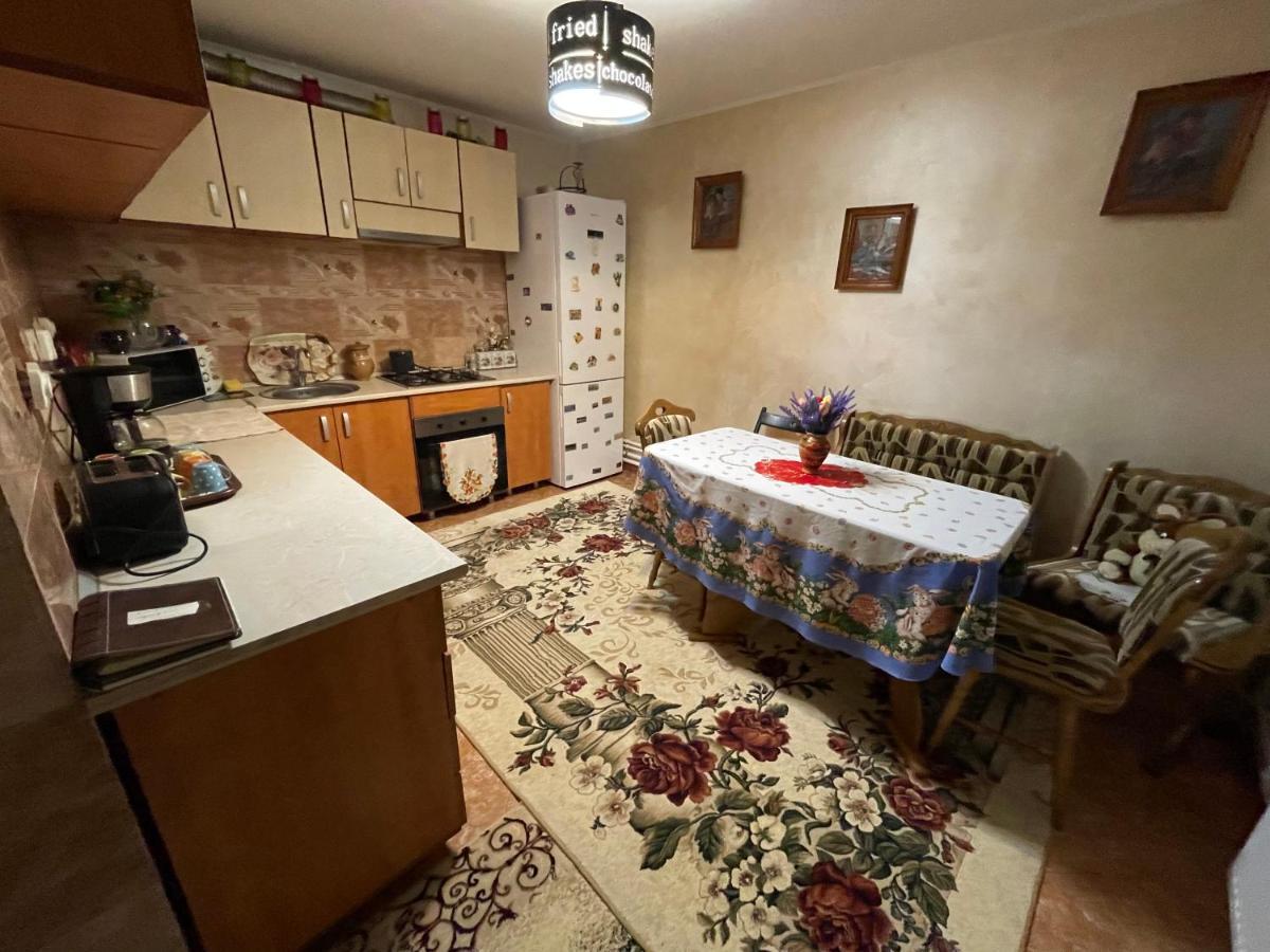 Gasthaus Casa Cu Pitici Vama  Exterior foto