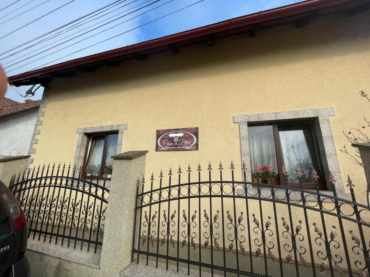 Gasthaus Casa Cu Pitici Vama  Exterior foto