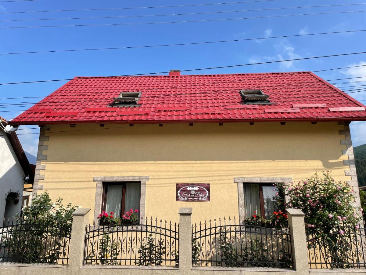Gasthaus Casa Cu Pitici Vama  Exterior foto